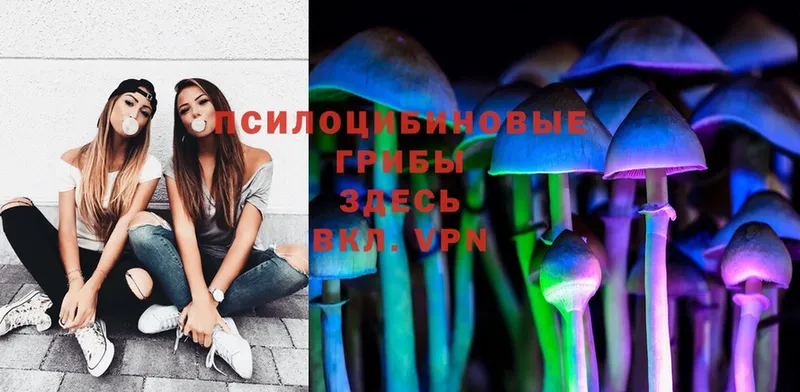 Псилоцибиновые грибы MAGIC MUSHROOMS  Ноябрьск 