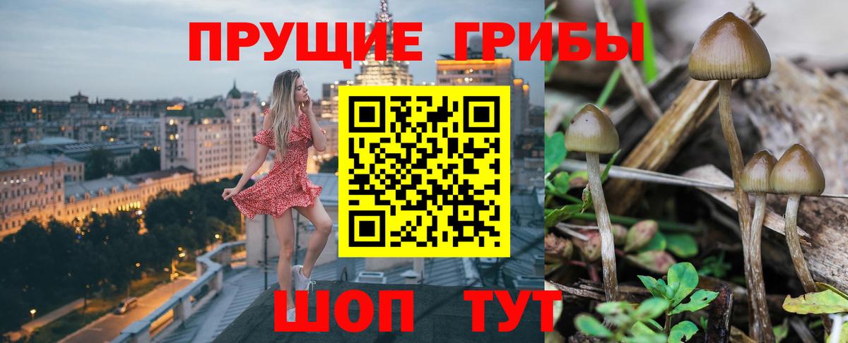 Ноябрьск  Псилоцибиновые грибы Magic Shrooms  Вход с VPN  Галлюциногенные грибы Psilocybe 